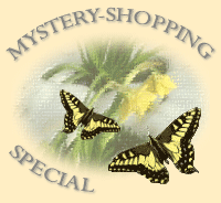 Mystery-Shopping